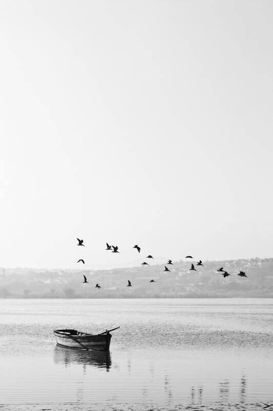 Black and white photo of an empty canoe on the water, under seagulls flying. This illustrates the loneliness of loss. Sacred Circle Holistic Healing offers online therapy for grief in Kansas.